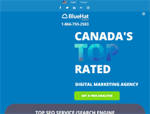 Tablet Screenshot of bluehatmarketing.com